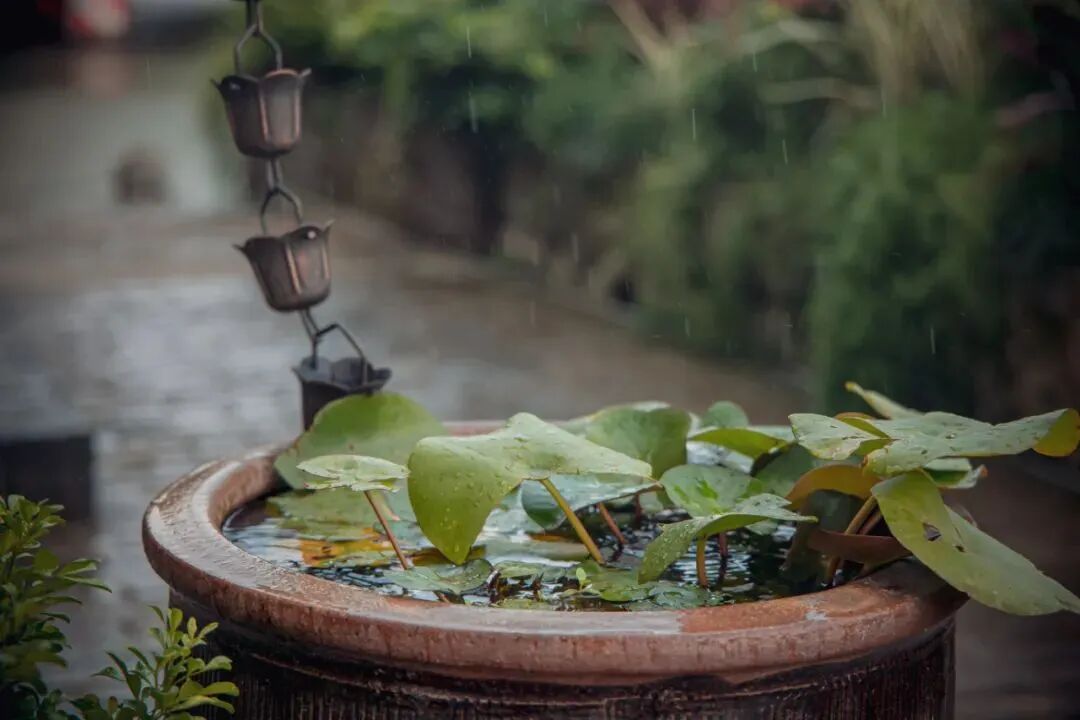 出游计划泡汤鹿城这几个地方雨天一样治愈