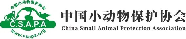 护鸟牌怎么写保护鸟类警示牌变 “售鸟广告牌”，野生鸟类公开售卖，“黑灰产业链”亟待斩断_https://www.jmylbn.com_新闻资讯_第7张