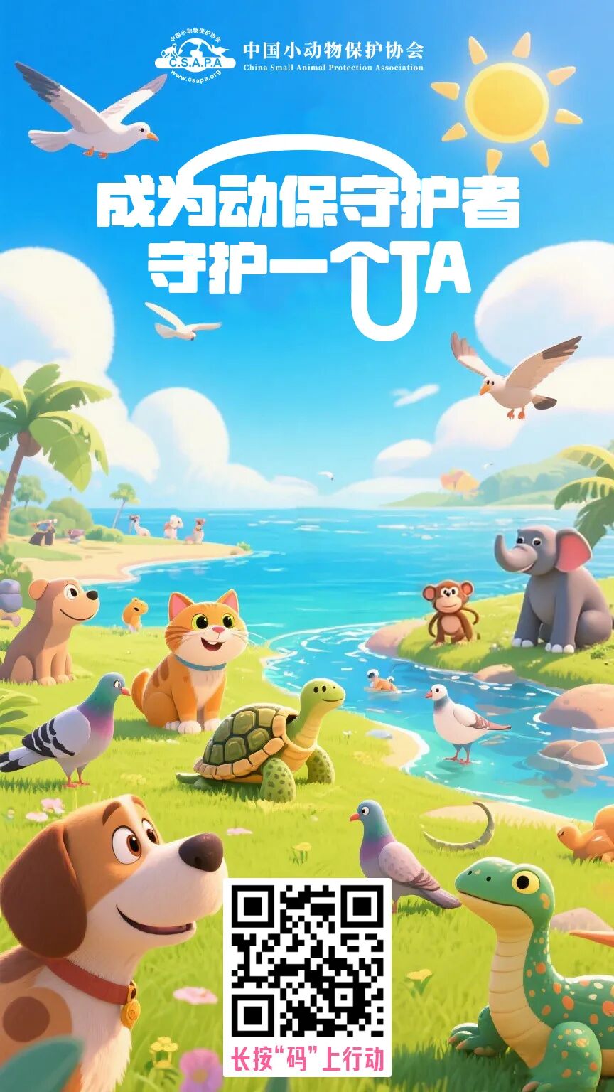 护鸟牌怎么写保护鸟类警示牌变 “售鸟广告牌”，野生鸟类公开售卖，“黑灰产业链”亟待斩断_https://www.jmylbn.com_新闻资讯_第8张