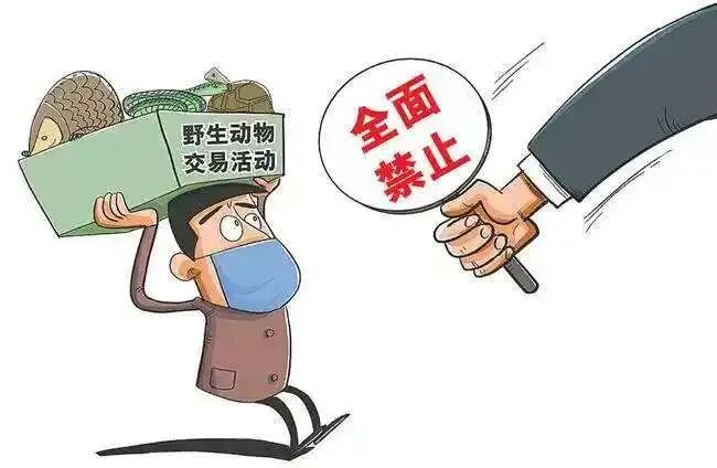 护鸟牌怎么写保护鸟类警示牌变 “售鸟广告牌”，野生鸟类公开售卖，“黑灰产业链”亟待斩断_https://www.jmylbn.com_新闻资讯_第5张