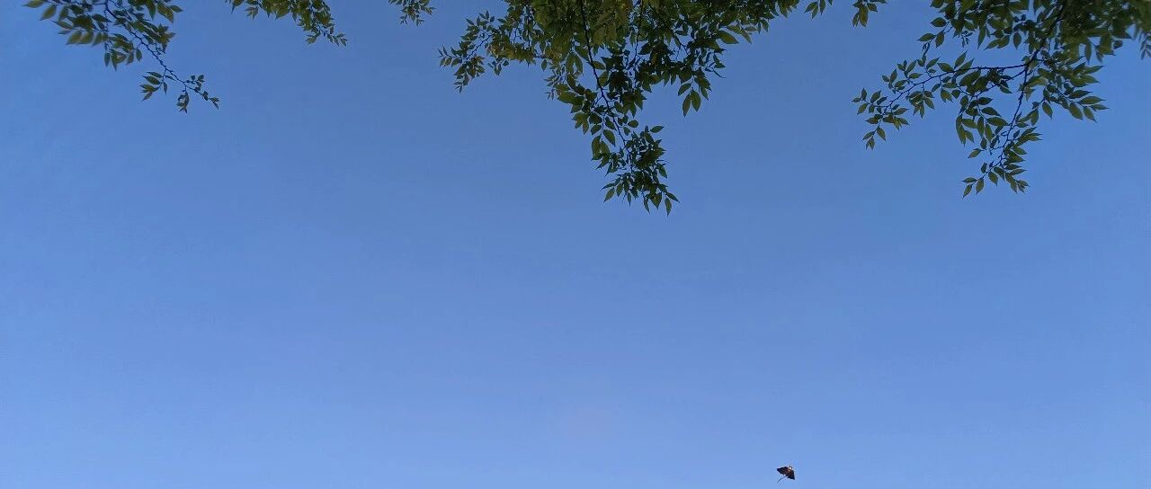 【青春语文·胡盼专栏】我要怎么对待你，亲爱的孩子