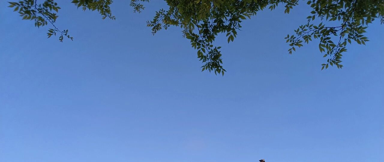 【青春语文·胡盼专栏】《那一次，我与xx深深共鸣》作文题分析