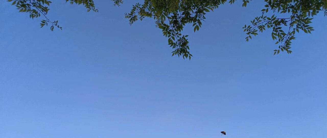 【青春语文·胡盼专栏】为何不先带学生把课文读起来呢？