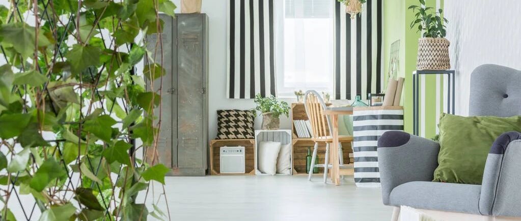 除甲醛除了通风还有靠谱办法吗？