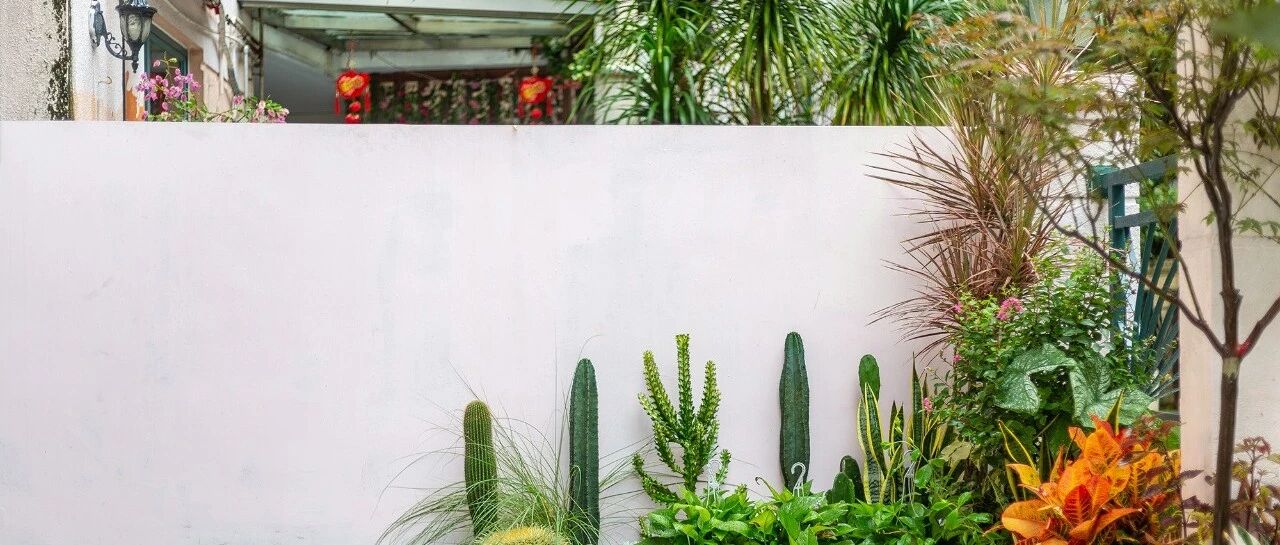 一楼房子真的别买？