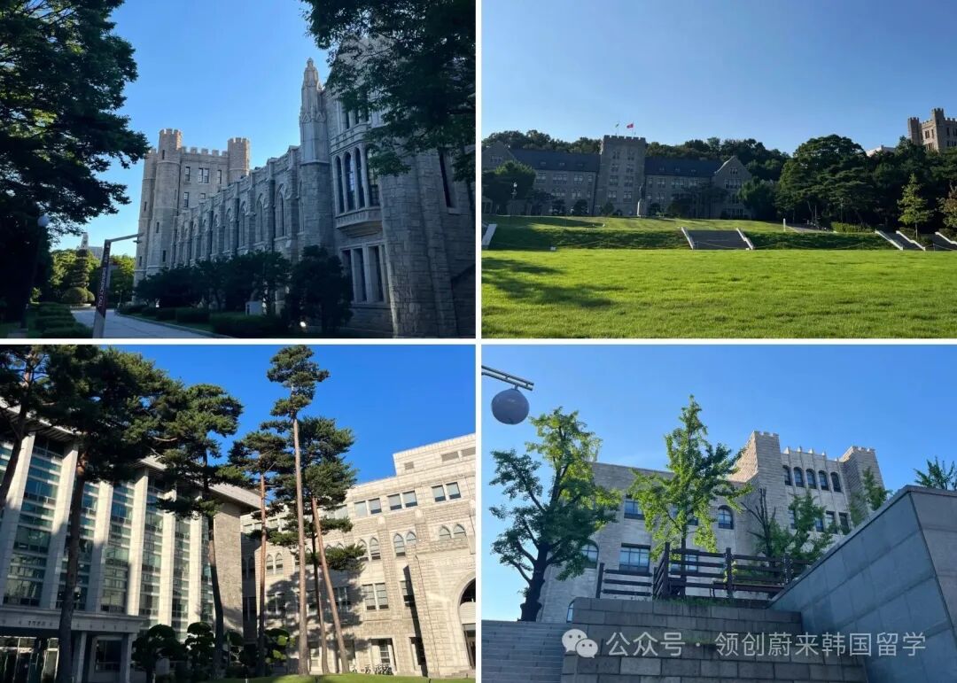 2026年春季韩国高丽大学2年制双语授课硕士申请指南(图2)