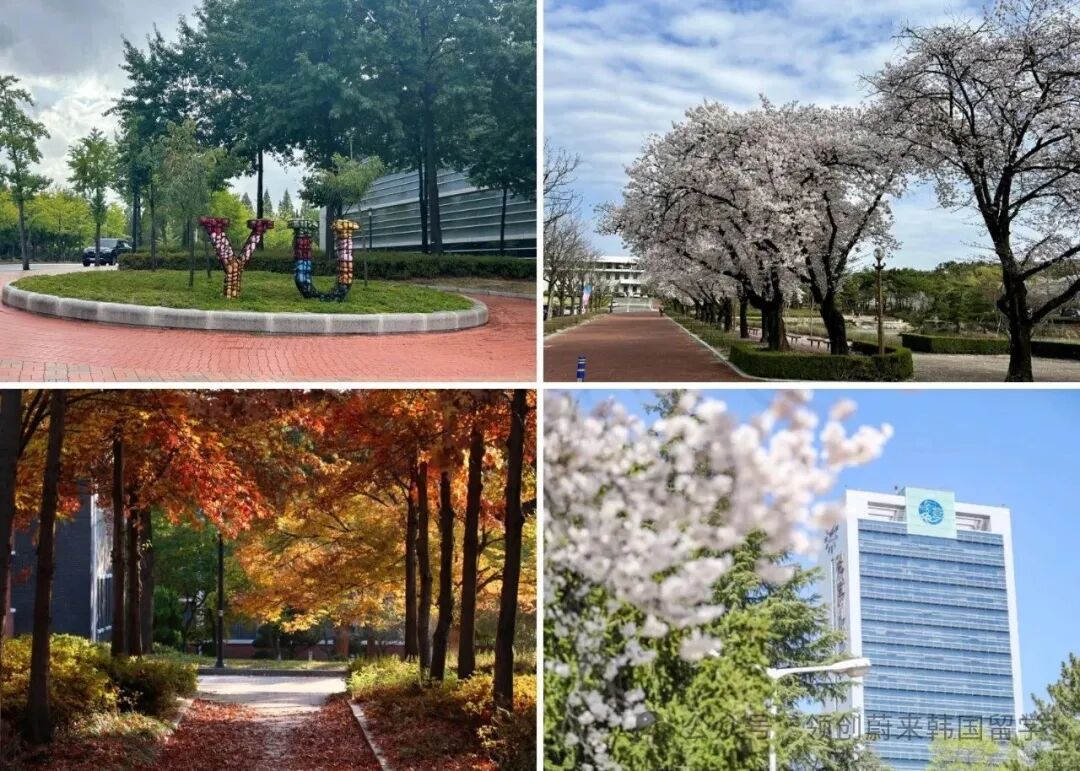 QS901丨韩国岭南大学2026年春季1年制双语授课硕士申请指南(图5)