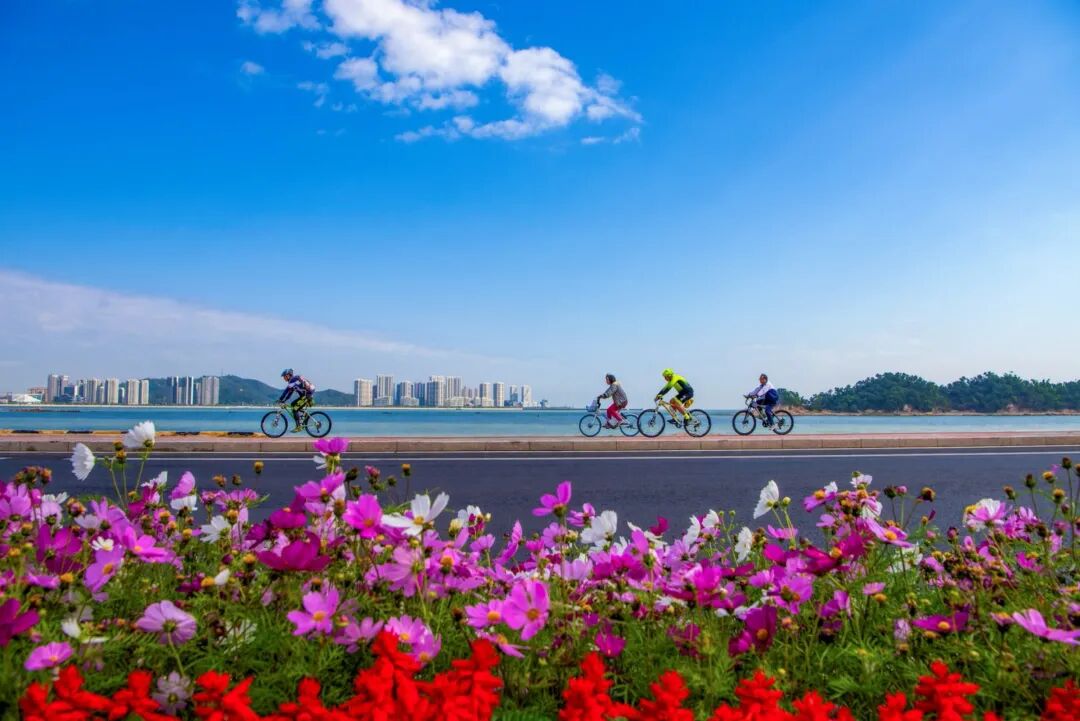 市民在情侣路沿线骑行。谢儒侦摄.jpg