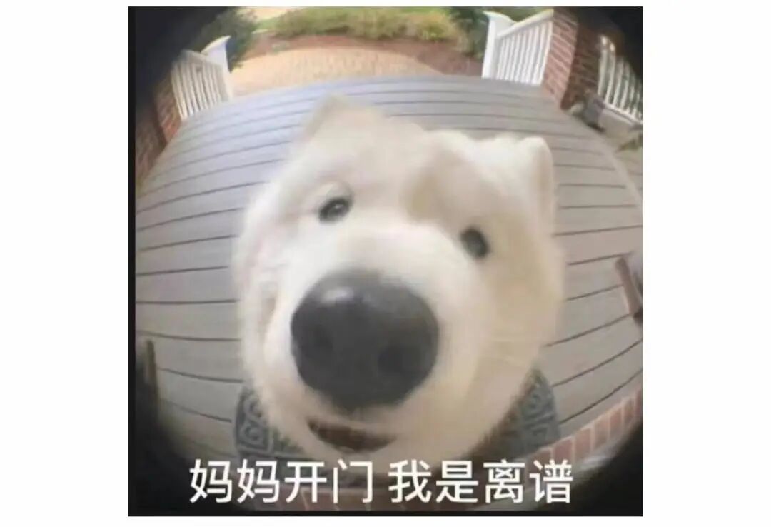 BE药片治什么作用药师说丨吃下去的药片又被排出来！你说神奇不神奇_https://www.jmylbn.com_新闻资讯_第3张