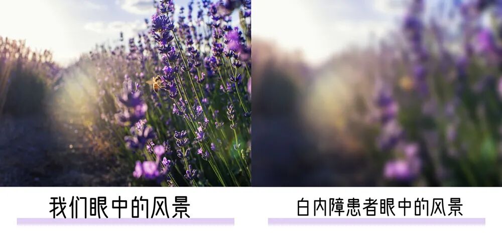 汕头博德眼科医院