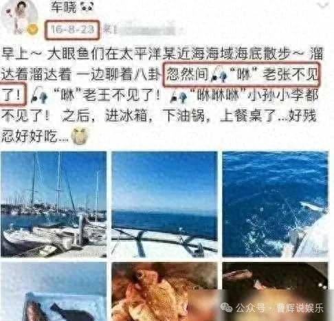 张涵予美国私会车晓,好男人神话崩塌?真相究竟如何?