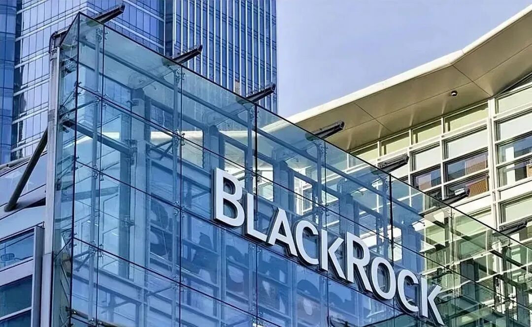 一文了解BlackRock贝莱德集团logo设计含义解读及美国投资管理集团品牌标志设计理念案例-三文品牌