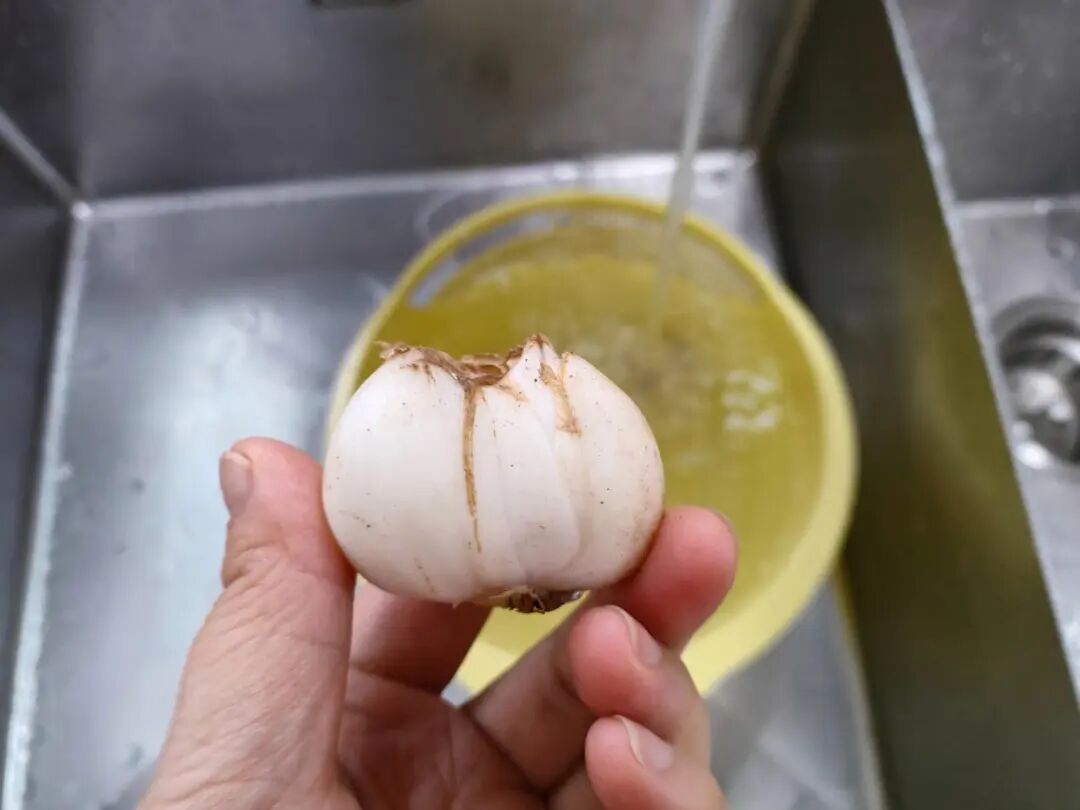 跟酒店偷学的菜，5分钟，香甜软糯，好吃还润肺，咳嗽都好了