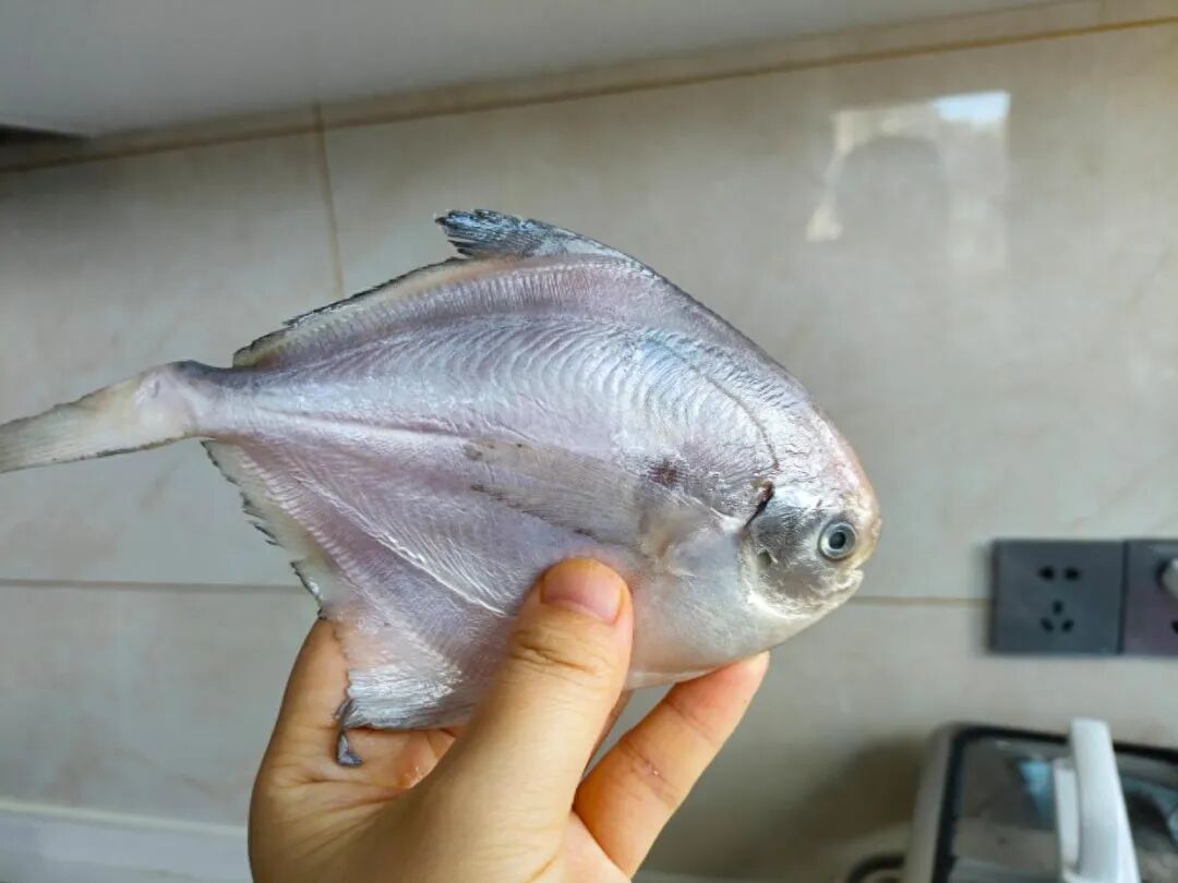 太香了！小白鲳的2种做法，看看你喜欢哪一种？