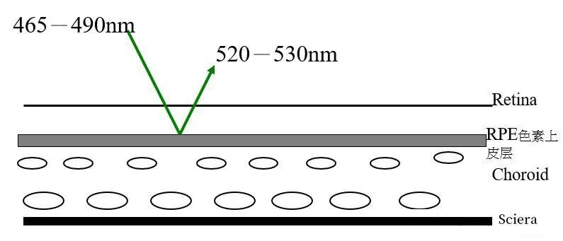 眼底激光机有什么牌子无法取代！超广角激光眼底血管造影(FFA)全面揭示眼底荧光异常的表现_https://www.jmylbn.com_新闻资讯_第2张