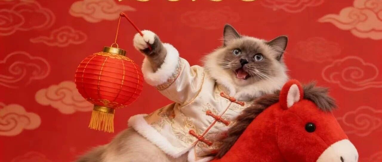新年快乐
