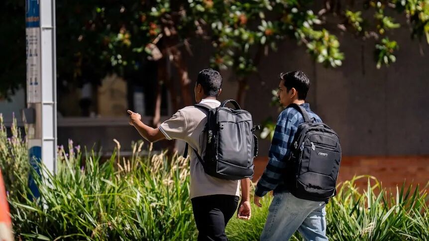Students gathered on a university campus
