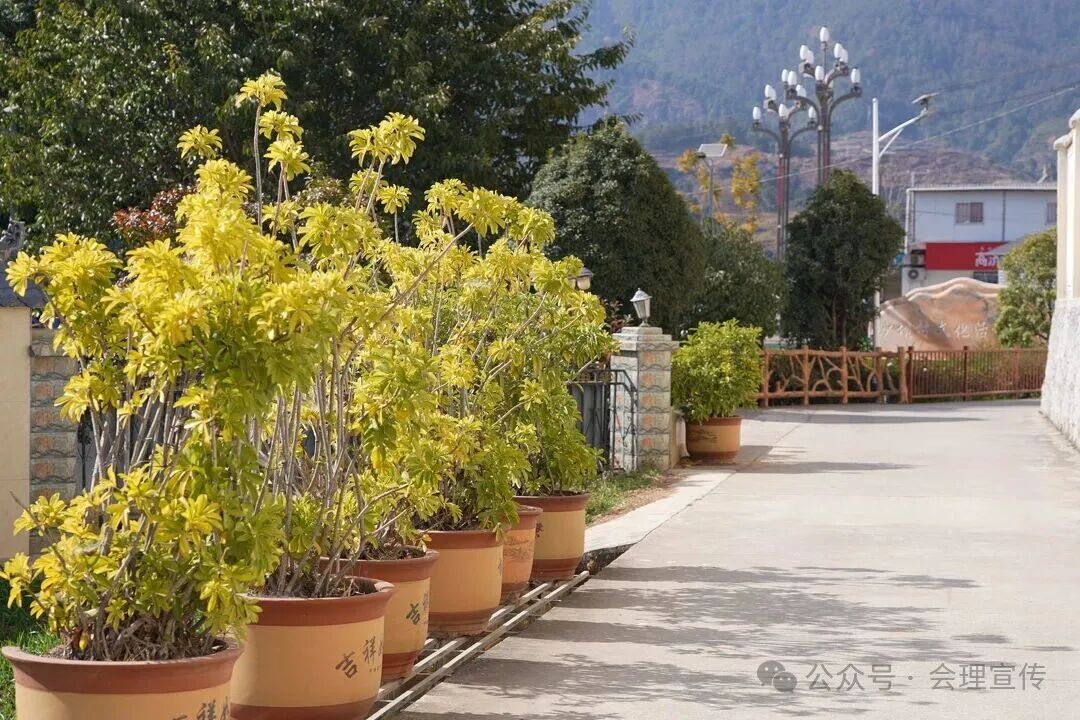 人居环境“大提升” 民生福祉“再加码”——会理市扎实推进农村环境整治工作插图