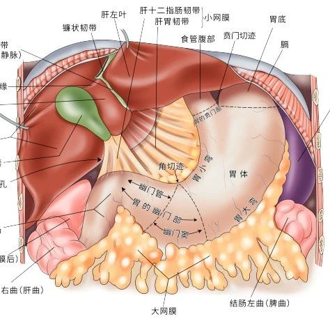 cover_image