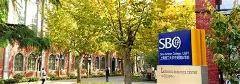 上海理工大学中英国际学院-华南国际教育研究院