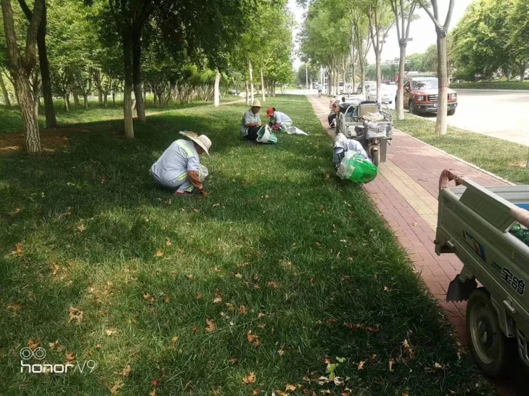 农药除草剂_农药除草剂大全_农药除草剂有毒吗