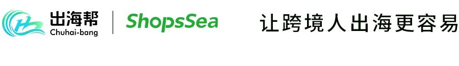 跨境电商独立站面临的支付、成本和合规挑战：探索出海背后的关键因素