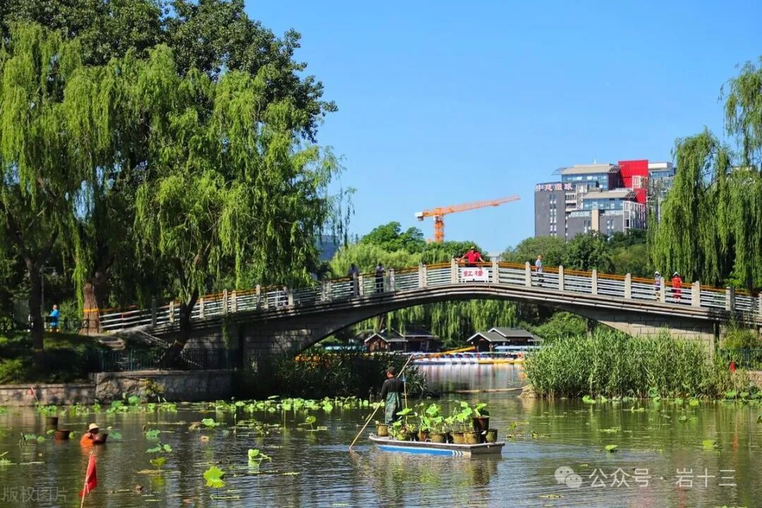 北京周末春游踏青十大好去处看看哪个离你家最近