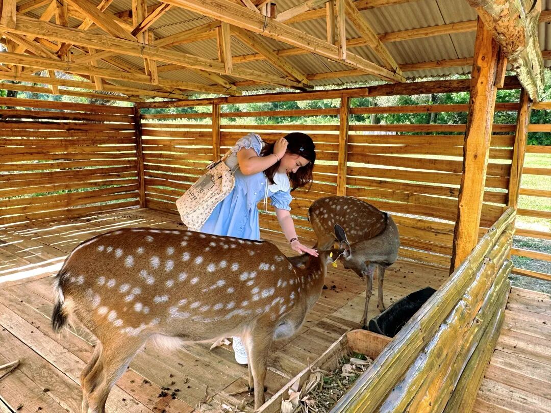 相机afc怎么调九月怎么玩儿？带好相机，这样过超快乐！_https://www.jmylbn.com_新闻资讯_第15张