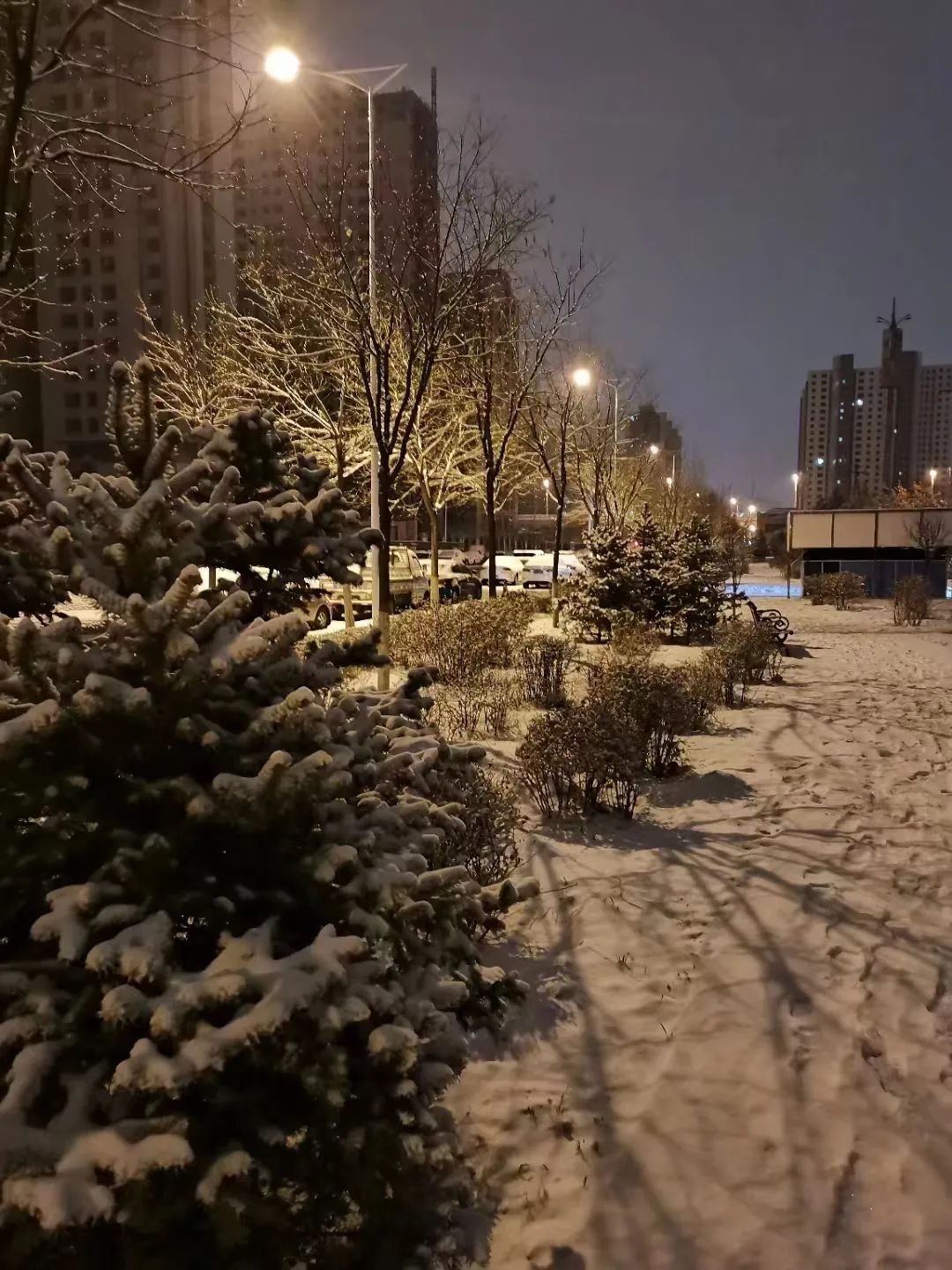 呼和浩特迎来降雪超美雪景刷爆朋友圈