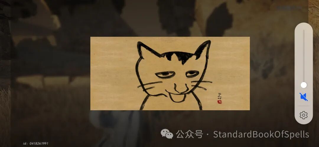 我在家猫瘾犯了就这样