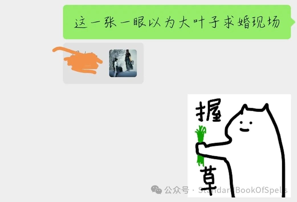 我在家猫瘾犯了就这样