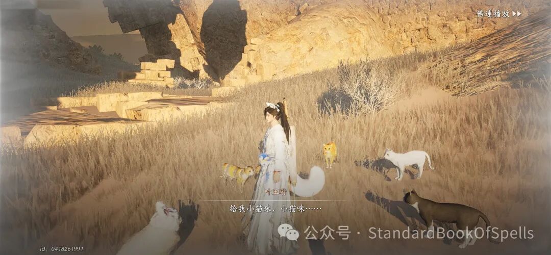 我在家猫瘾犯了就这样