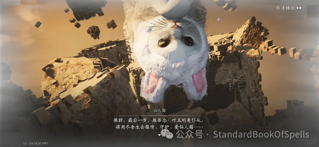 我在家猫瘾犯了就这样