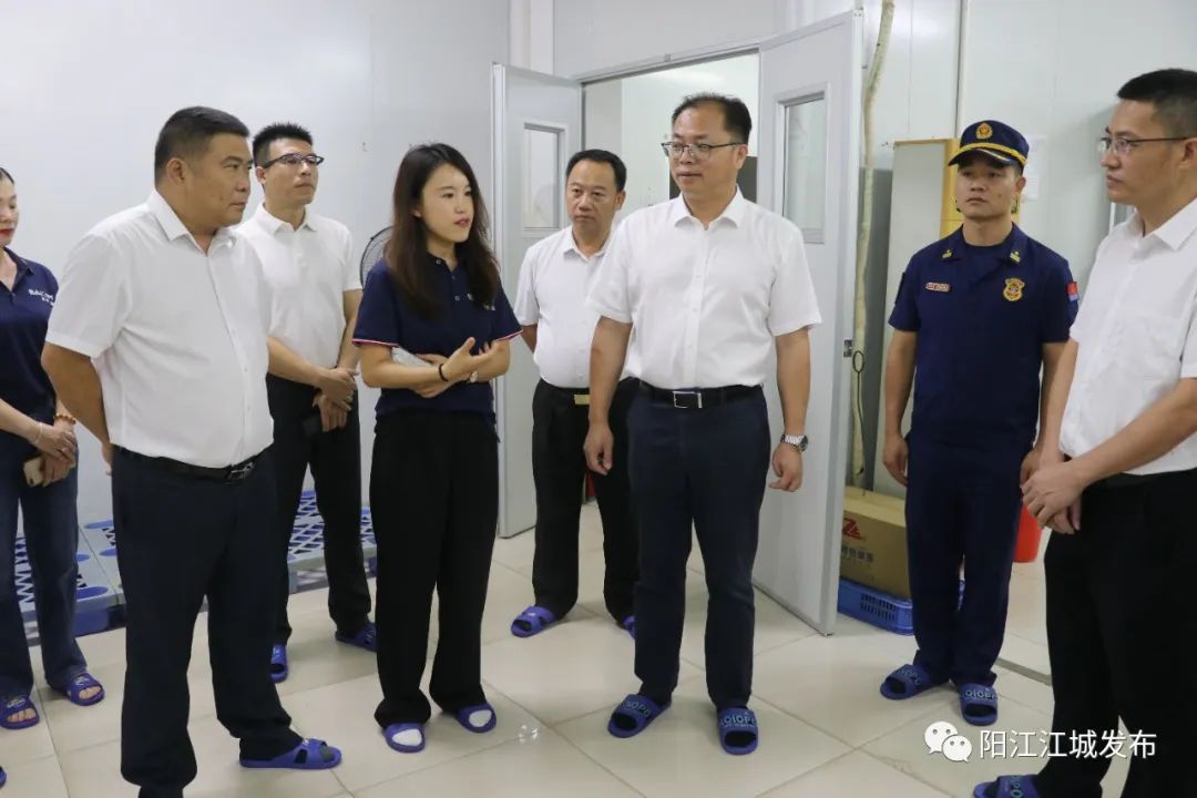 李仕鵬,梁小昌督導檢查節前安全生產,消防,食品安全等工作 -陽江市江