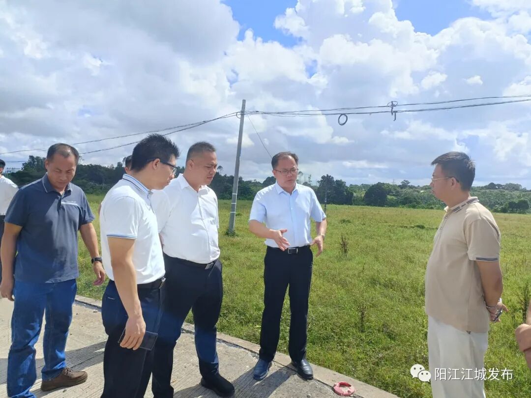 高质量完成垦造水田,复耕复种工作任务,助力乡村振兴 - 阳江市江城区
