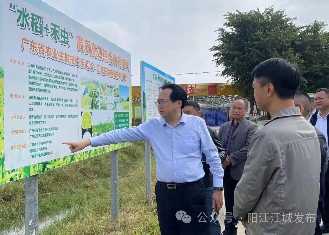 阳江市江城区城西街道办事处政府信息公开