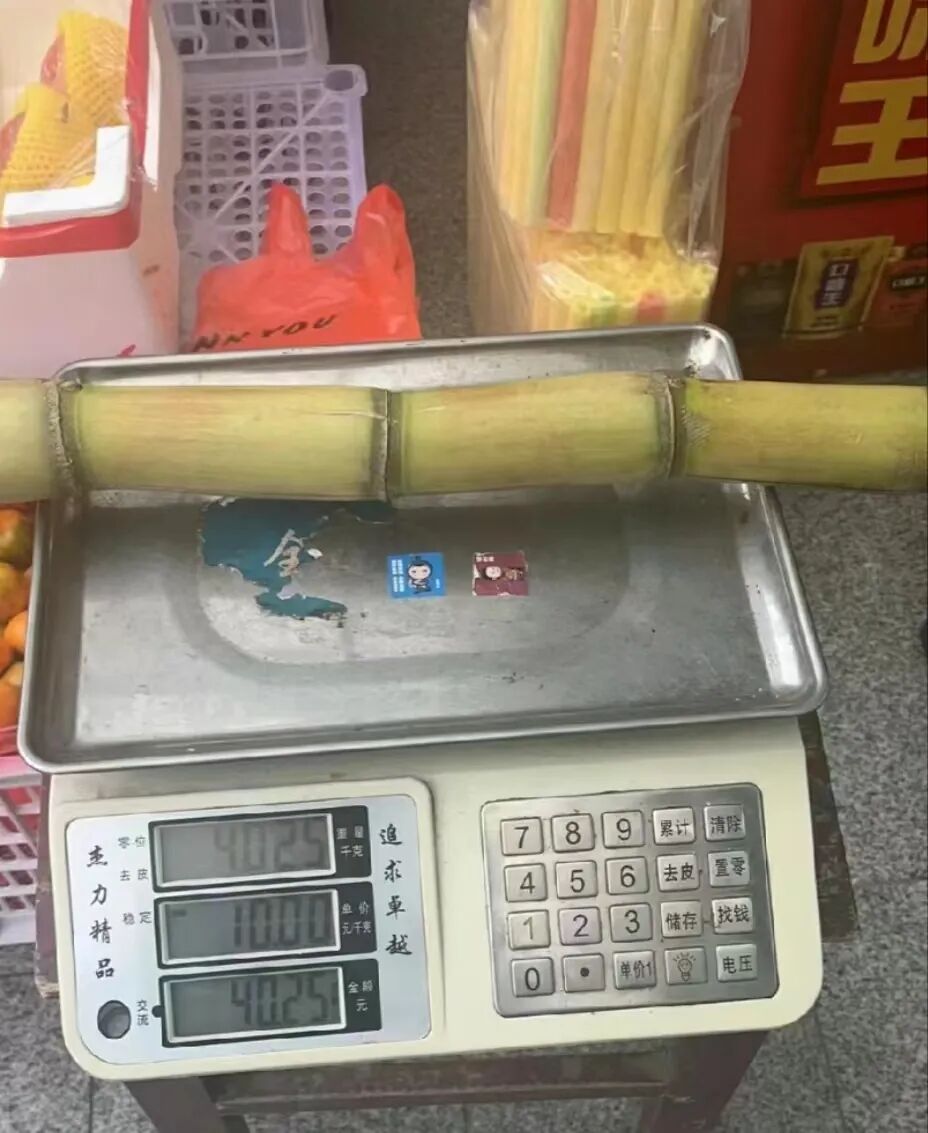 一根甘蔗多少斤