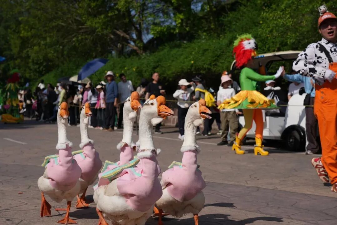 微信图片_2026-04-27_144727_475.jpg