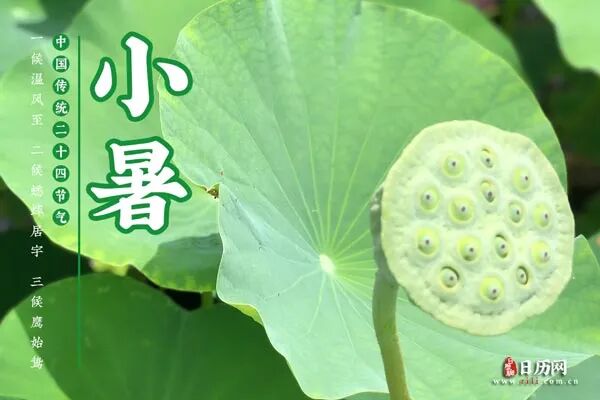 小暑文字版