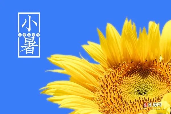 小暑文字版