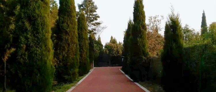 捞妖记