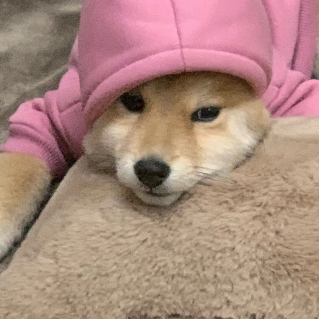 头像| 关于微信8.0状态中可更新的文案句子 - 脉脉