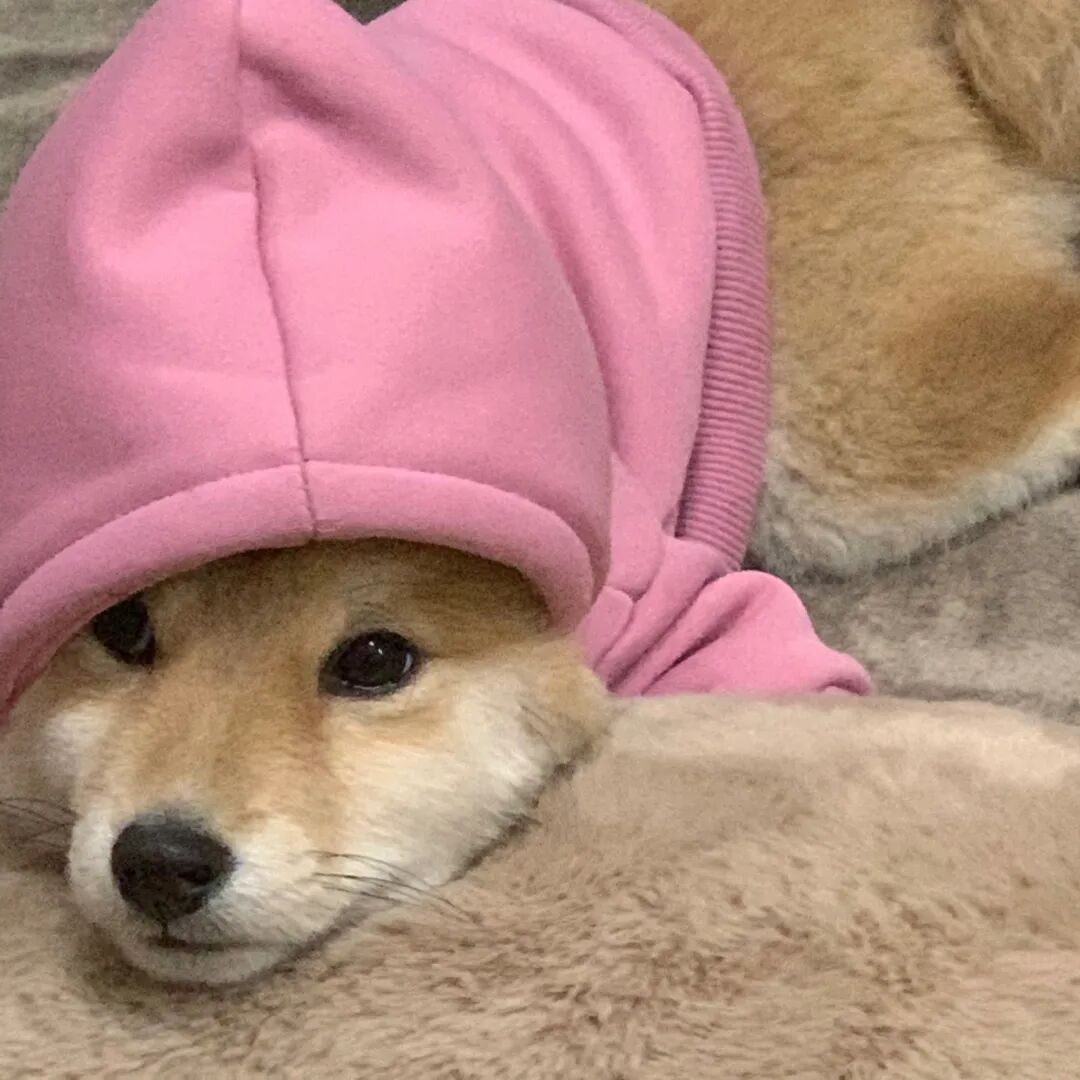 头像| 关于微信8.0状态中可更新的文案句子 - 脉脉