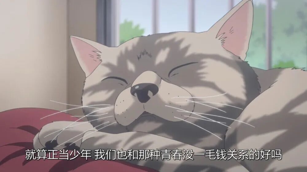 绝美壁纸 就算失败了九十九次 也要再努力一次 凑个整数 宝藏高清壁纸 微信公众号文章阅读 Wemp