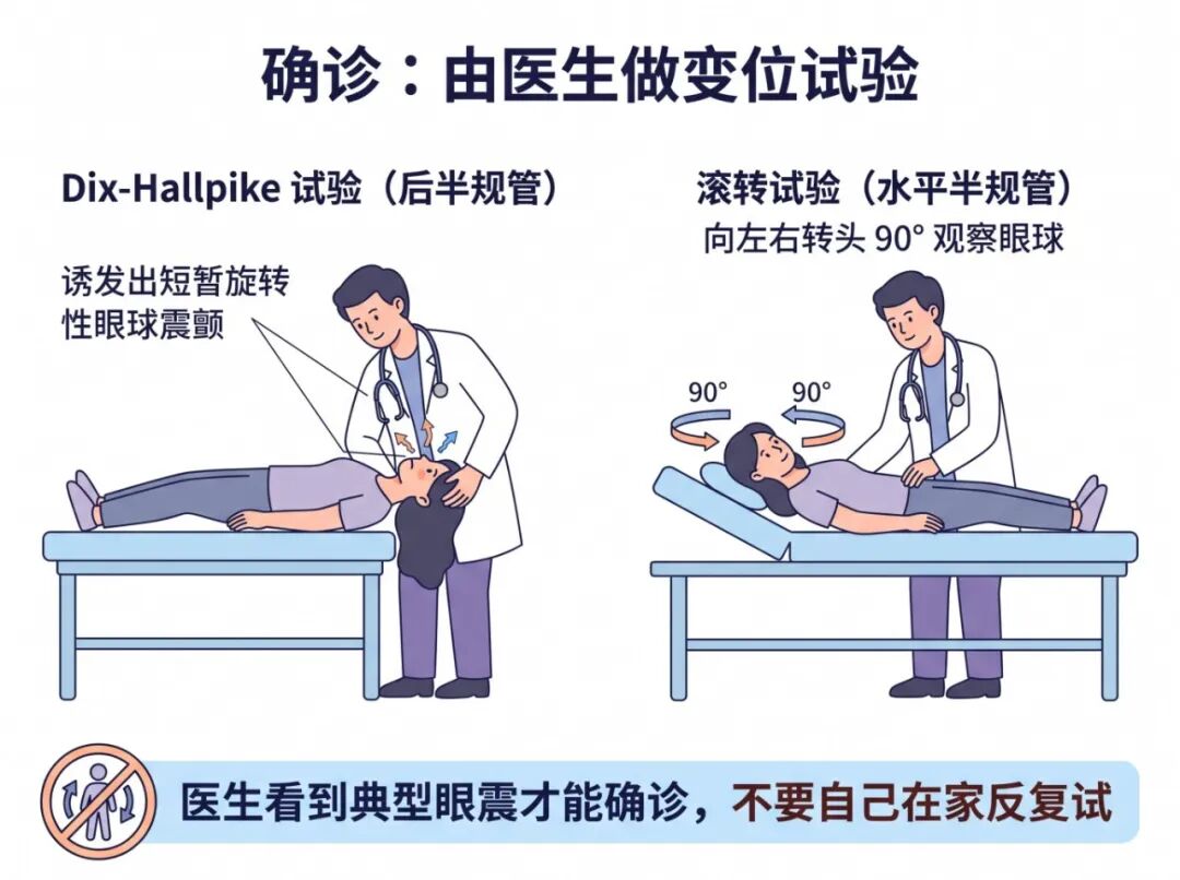 纯白背景扁平医学插图.jpg