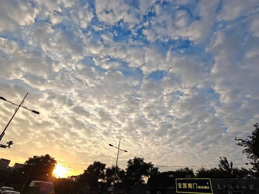 wx300506a1d203d6d3