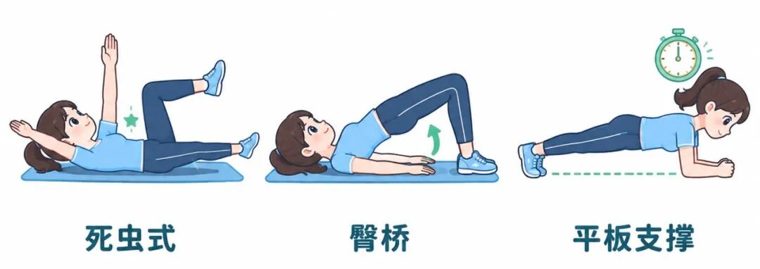 横版科普示意图_死虫式臀桥平板支撑_清新卡通白底.jpg