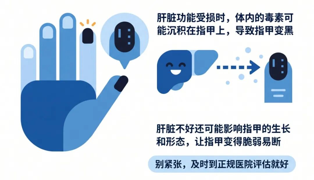蓝色医学科普插图_扁平色块设计_4 3横版.jpg