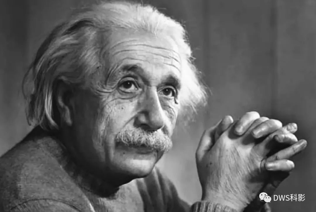 探索规律规律题_生物进化的规律_世间生物规律