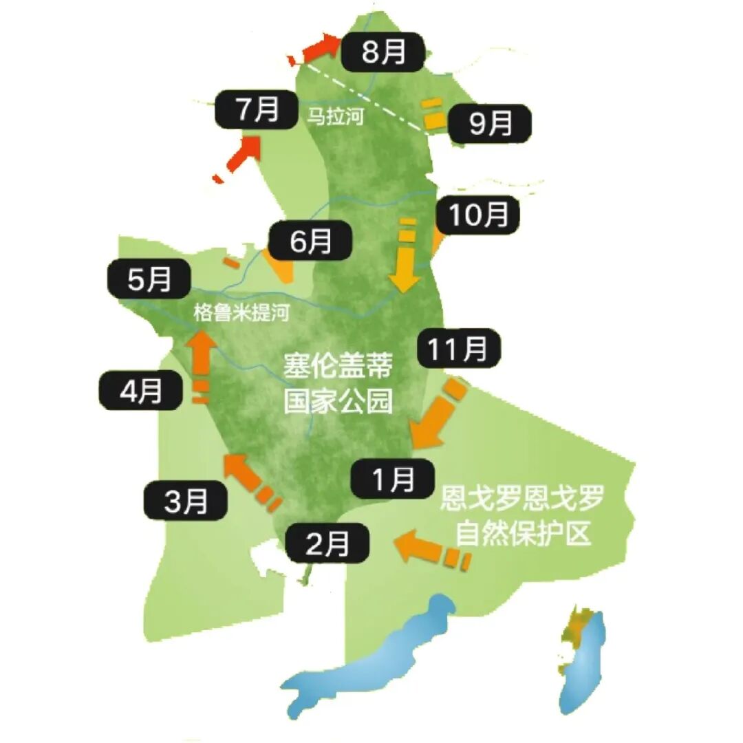 肯尼亚野奢酒店积分攻略：万豪百万积分住一周指南2026